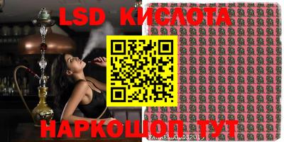 гидропоника Кунгур