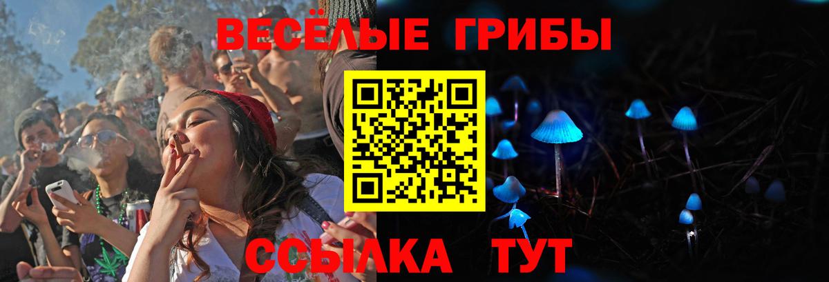 Псилоцибиновые грибы прущие грибы Воркута