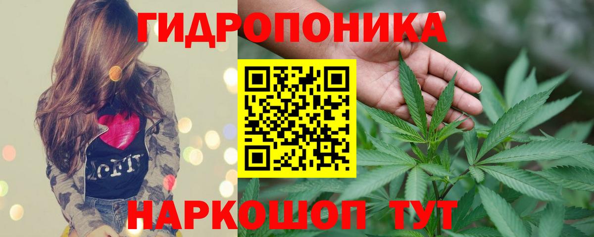 Марихуана Amnesia Воркута